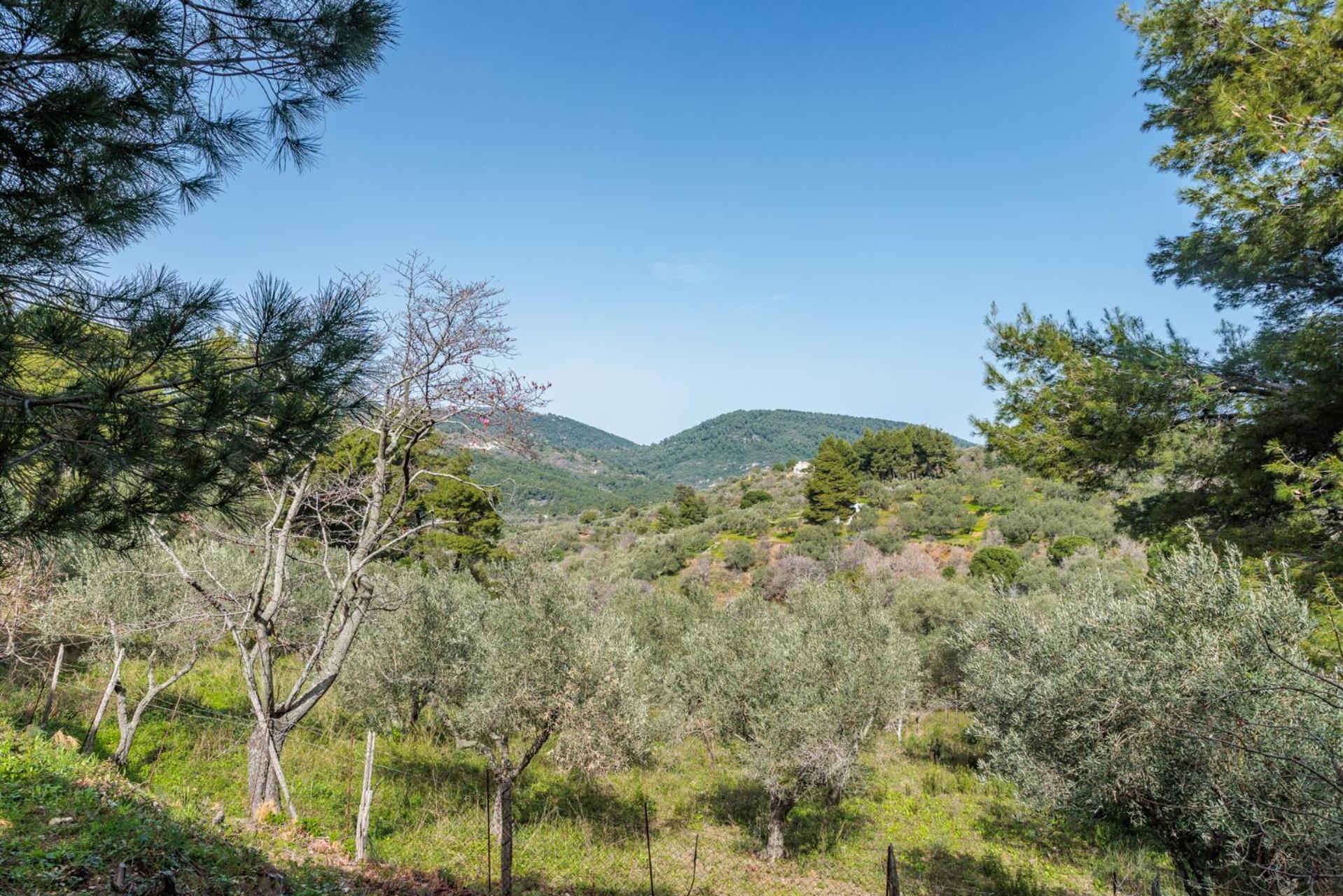 Elli Cottage Skopelos Exterior foto